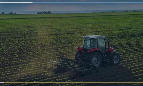 5 dicas para reduzir custos no agronegócio 5 dicas para reduzir custos no agronegócio