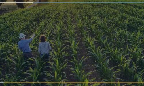 6 benefícios de um sistema de gestão de documentos para agronegócios 6 benefícios de um sistema de gestão de documentos para agronegócios