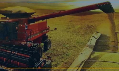 Como aumentar a produtividade no agronegócio? Como aumentar a produtividade no agronegócio?