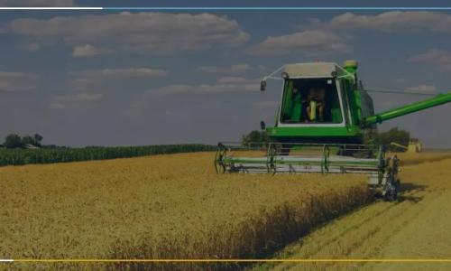 Como garantir a segurança da informação no agronegócio? Como garantir a segurança da informação no agronegócio?
