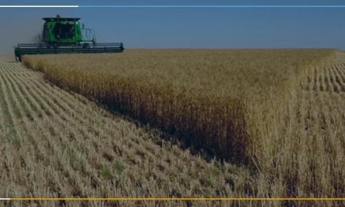Os 3 pilares para reduzir custos com a gestão documental no agronegócio Os 3 pilares para reduzir custos com a gestão documental no agronegócio